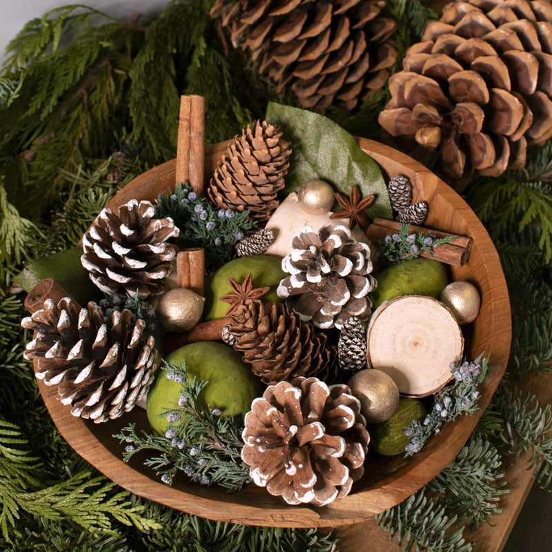 ANDALUCA Evergreen Pine Scented Potpourri | Made in California | 20 oz Bag + Fragrance Vial - Image 2